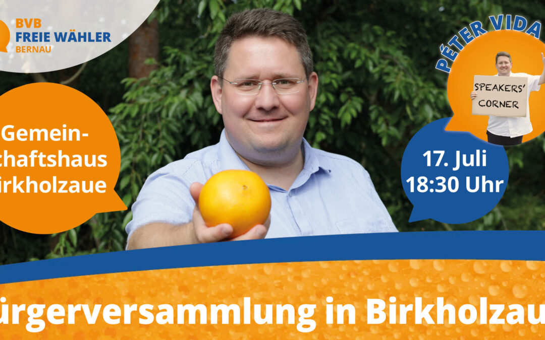 Einladung zur Bürgerversammlung am 17. Juli in Birkholzaue!