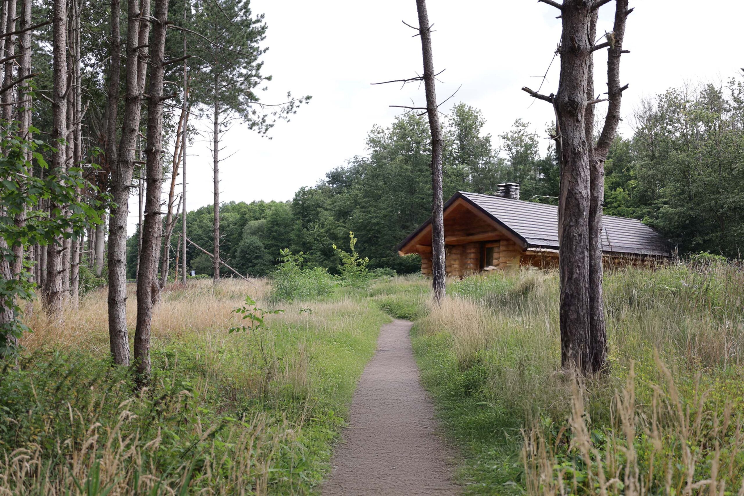 Dorfgemeinschaftshaus für Ortsteil Waldfrieden