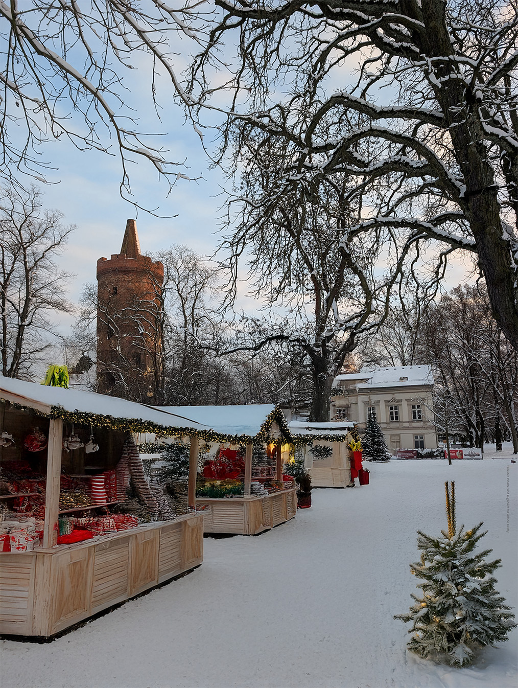Weihnachtsmarkt im Stadtpark